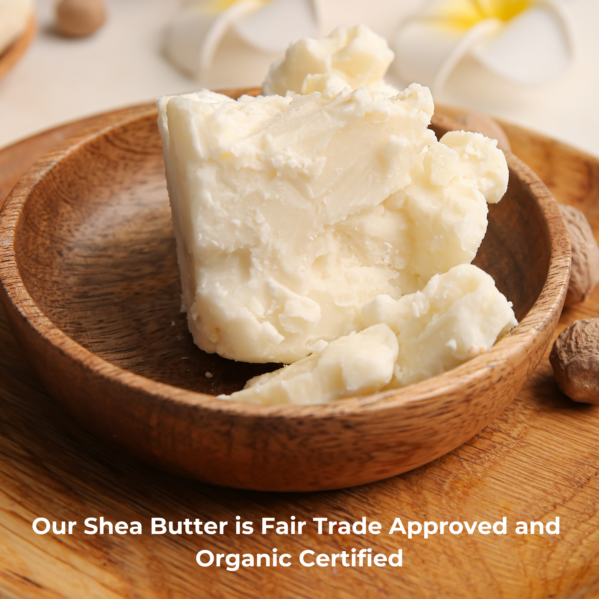 Organic Certified Shea Butter Balm - 2oz
